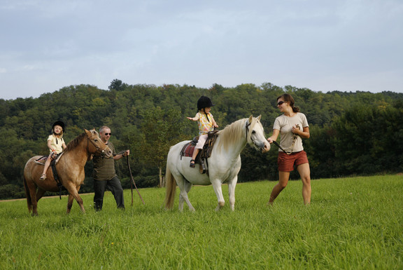 Erlebnisse in der Region